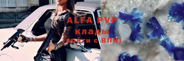 хмурый Алзамай