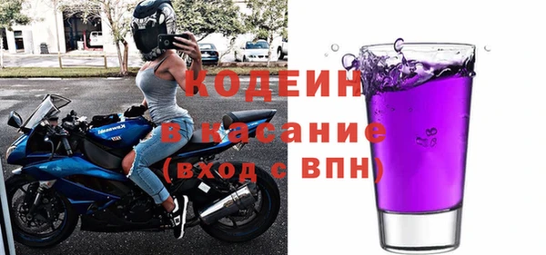хмурый Алзамай