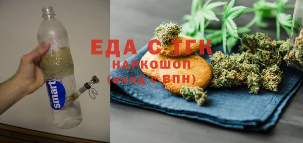 хмурый Алзамай